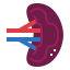 Spleen icon 64x64