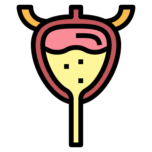 Bladder icon