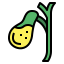 Gallbladder icon 64x64