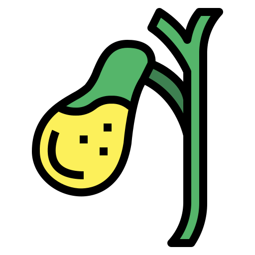 Gallbladder icon