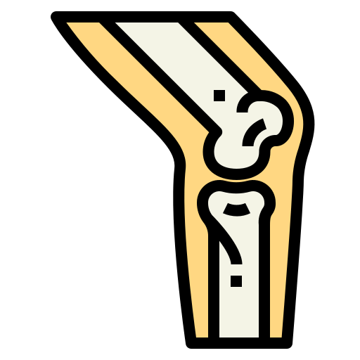 Knee icon