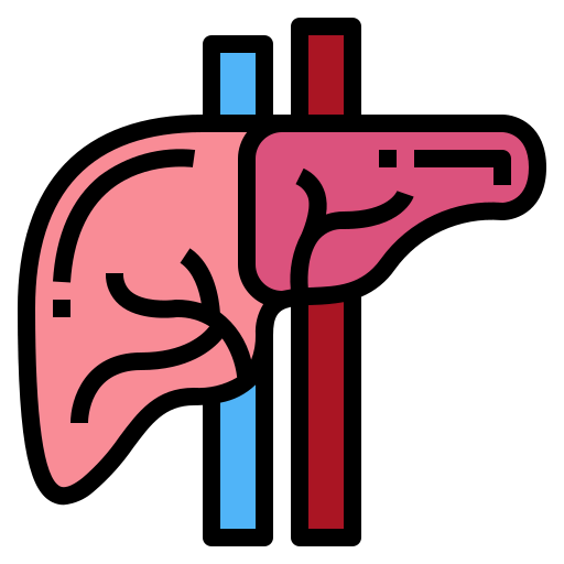 Liver ícono