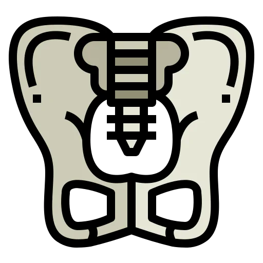 Pelvis icon