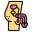 Penis icon 64x64