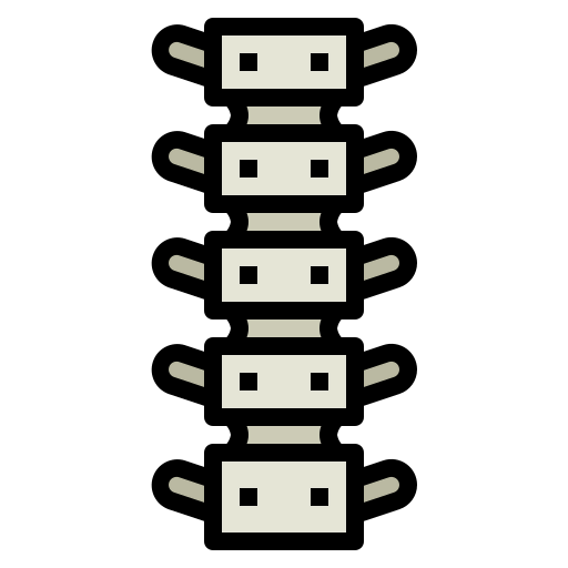 Spinal column icon