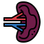 Spleen icon 64x64