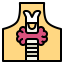 Thyroid icon 64x64