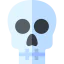 Skull ícono 64x64