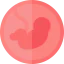 Pregnancy icon 64x64