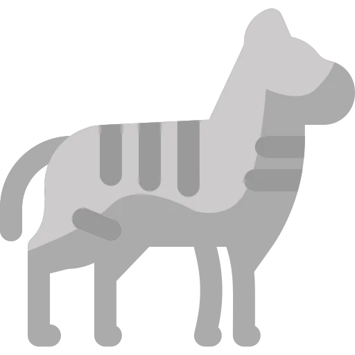 Zebra 상