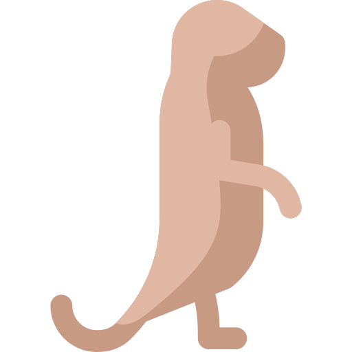 Meerkat ícono