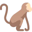 Monkey icon 64x64