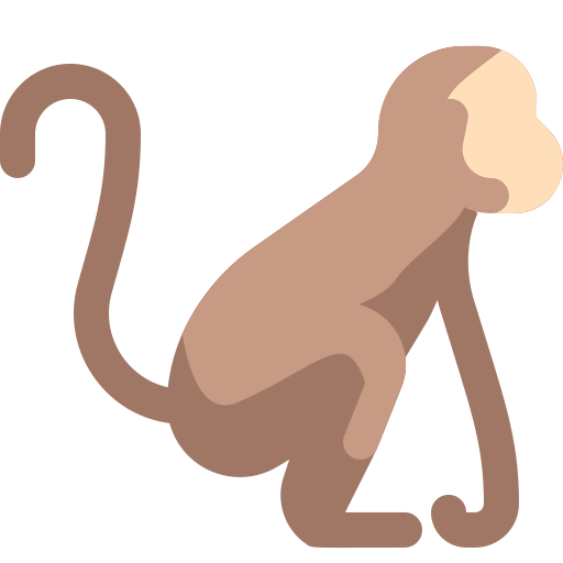 Monkey 상