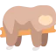 Sloth icon 64x64