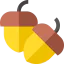 Nuts icon 64x64