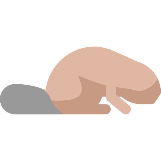 Beaver ícone