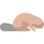 Beaver icon 64x64