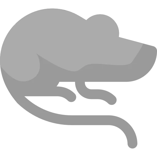 Mouse 상