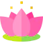 Lotus flower icon 64x64