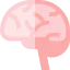 Brain icon 64x64