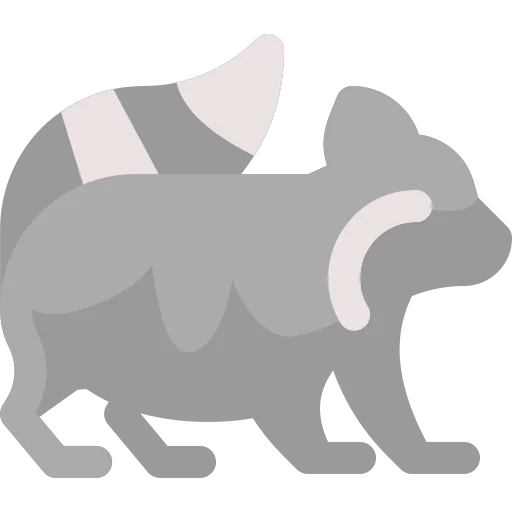 Raccoon icon