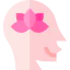 Peace of mind icon 64x64