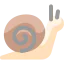 Snail icon 64x64