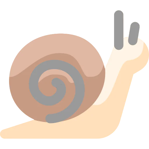 Snail 상