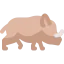 Rhino icon 64x64