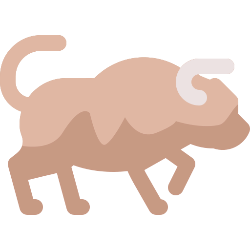 Buffalo icon