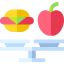 Scale icon 64x64