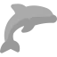 Dolphin icon 64x64