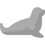 Seal icon 64x64