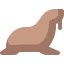 Walrus icon 64x64