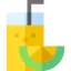 Juice icon 64x64