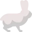 Hare icon 64x64