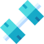 Weightlifting icon 64x64