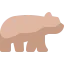 Bear icon 64x64