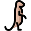 Meerkat icon 64x64