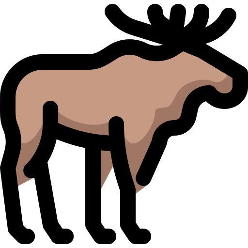 Moose 상