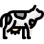 Cow icon 64x64