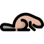 Beaver icon 64x64