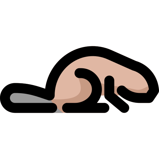 Beaver icon