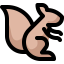 Squirrel icon 64x64