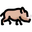 Rhino icon 64x64