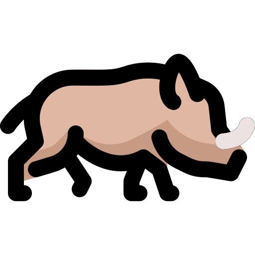 Rhino icon