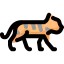 Tiger icon 64x64