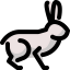 Rabbit icon 64x64
