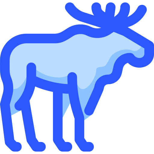 Moose 상