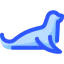 Seal іконка 64x64